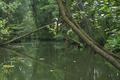 Durchfahrt zum Großen Mechowsee Durchfahrt zum Großen Mechowsee