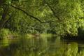 Trave nahe Klein Gladebrügge Trave nahe Klein Gladebrügge