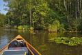wildes Ufer in der Dollbek