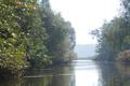 Treene in Treia