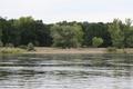 Die Oder, die große Flussinsel vor Küstrin-Kietz