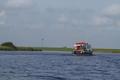 Eider vor Drage Eider vor Drage