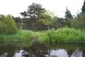 Müggelspree Rastplatz bei Mönchwinkel