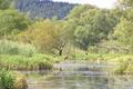 Polnische Polder