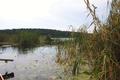 Blick durchs Schilf auf den Großen Küstrinsee