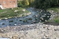 Trave, Fischtreppe Herrenmühle