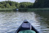 auf dem Bützsee: Abzweig des Mühlenrhins Altfriesack