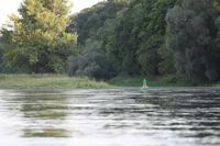 Die Oder, Einmündung des Brieskow-Kanals in die Oder