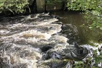 Bramau, altes Wehr vor Hitzhusen