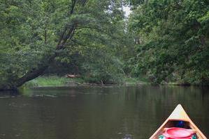 Altarm des Oder-Spree-Kanals