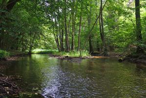 Küstrinchener Bach