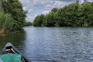 Alter Rhin unterhalb der Schleuse Hakenberg