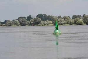 Die Oder nahe Eisenhüttenstadt