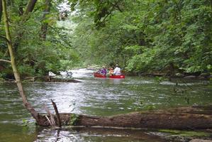 schöne Natur im Warnow-Durchbruchstal