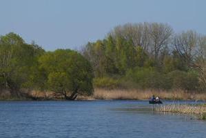 Wildnis in Rostock