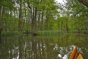 Mündung der Bresenitz in die Mildenitz