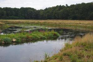 Renaturierte Stör bei Arpsdorf