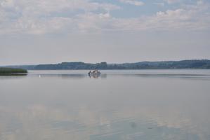Malchiner See bei Seedorf