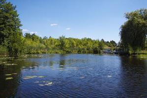 Seddinsee bei Gosen, Ostufer und Naturschutzgebiet