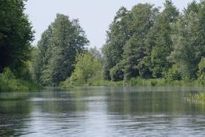 Mündung der Wriezener Alten Oder