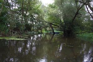 Hohensaaten-Friedrichsthaler Wasserstraße