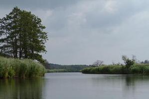 Peene beim Uposter Gehege