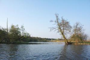 Blick in den See bei Schwaan