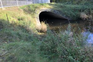 Alster hinter der Straßenbrücke Wulksfelde