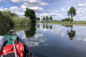 Alter Rhin vor Linumhorst