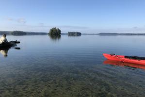 Inselwelt im Großen Plöner See