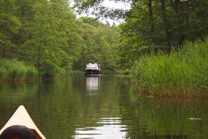 Werbellinkanal zwischen Pechteichsee und Grabowsee