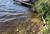 wenige Meter zum See