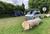 Parkplatz