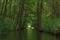 Havel vor Babke