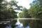 zwischen Woterfitzsee und Caarpsee