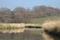Eider vor Molfsee