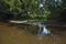 Ilmenau hinter Bad Bevensen