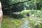 paddeln durch Warnow - Sumpfwald