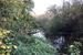 Alster vor Wulksfelde